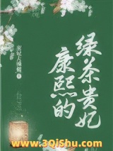 康熙的绿茶贵妃小说