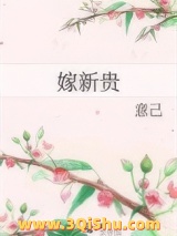 嫁新贵小说