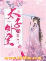 太子的外室（重生）小说