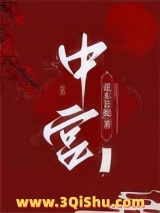 中宫小说