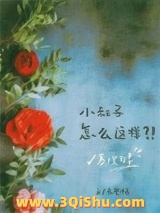 寡嫂为妻小说