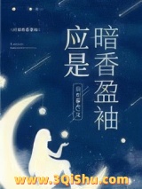 应是暗香盈袖小说