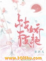 枝枝娇艳小说