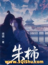 朱柿小说