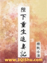 陛下重生追妻记小说