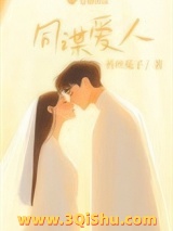 同谋爱人小说