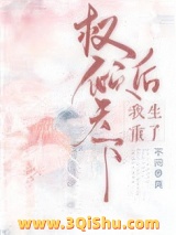 权倾天下后我重生了小说
