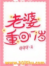 老婆重回17岁小说