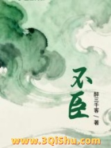 不臣小说