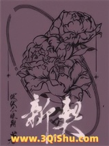 新契小说