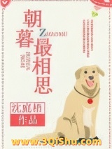 朝暮最相思小说