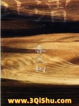 渭北春天树小说