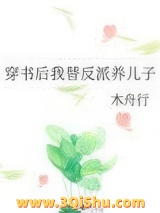 穿书后我替反派养儿子小说