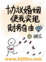 协议婚姻使我实现财务自由小说