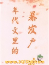年代文里的暴发户小说