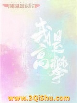 他们说我是高攀小说