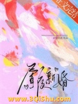 昼夜新婚小说