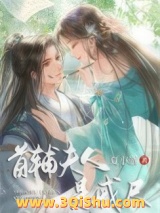首辅夫人是戒尺小说
