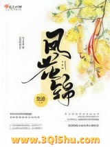 凤花锦小说