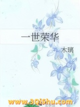 一世荣华小说