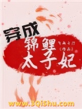 穿成锦鲤太子妃小说