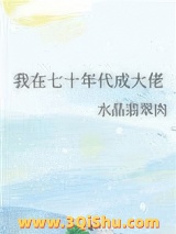 我在七十年代成大佬小说