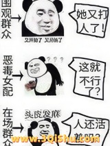 暴力输出女配小说