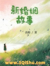 新婚姻故事小说
