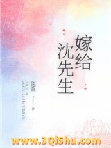 嫁给沈先生小说