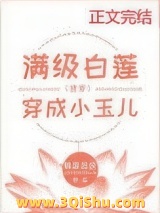 满级白莲穿成小玉儿（清穿）小说