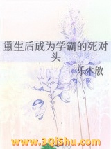 重生后成为学霸的死对头小说