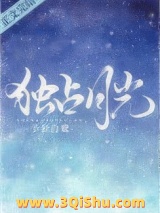独占月光小说