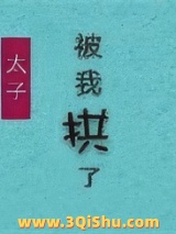 太子失忆后被我拱了小说