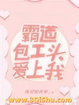 霸道包工头爱上我小说