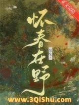 怀春在野小说