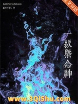 1级概念神只会加倍小说