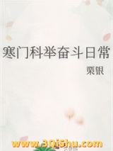 寒门科举奋斗日常小说