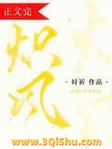 炽风小说