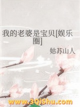 我的老婆是宝贝[娱乐圈]小说