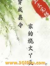 穿成县令家的烧火丫头小说