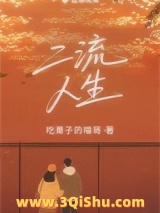 二流人生小说