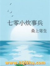 七零小炊事兵小说