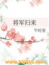 将军归来小说