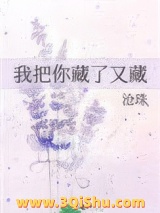 我把你藏了又藏小说