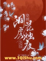 穿到洞房花烛夜之后小说