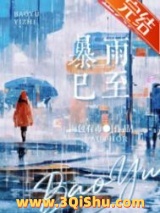 暴雨已至小说