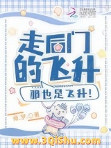 走后门的飞升，那也是飞升！小说