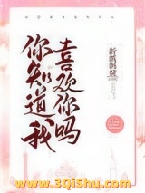 你知道我喜欢你吗小说