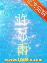 许愿雨小说