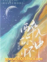 醉入你怀中小说